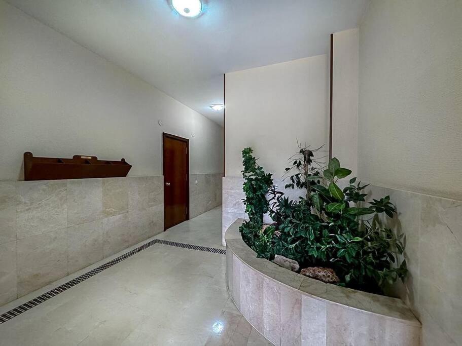 Apartamento En La Estacion De Trenes 헤레스 외부 사진